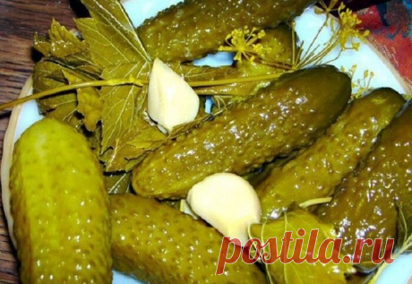 Икра из соленых огурчиков. Отличная и закуска, и заправка
Различных вариантов овощная икра пользуется завидной популярностью в российских семьях. Икру можно готовить из кабачков, баклажанов, моркови, свеклы и других овощей. Чаще всего икру из овощей хозяюшки заготавливают на зиму из свежих овощей, закатывают банки. А в зимнее время такие овощные икорочки прекрасно сочетаются с блюдами из картошки, круп, мясу, курице, идеально подходят к плову. […]
Читай пост далее на сайте. Жми ⏫ссылку выше