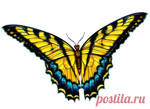 Картинки для творчества | 1 772 фотографии | ВКонтакте