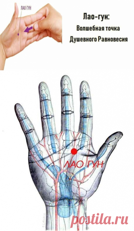 Лао-гун: Волшебная точка Душевного Равновесия. Эта удивительная точка помогает одновременно и расслабиться, и подзарядиться энергией. Она особенно эффективна для восстановления после болезни, после длительных стрессов. ➡️Кликайте на фото, чтобы прочитать статью полностью