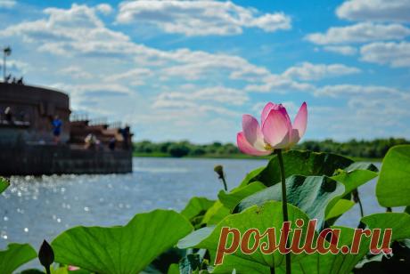 Куда поехать в России летом. 11 лучших мест для летнего отпуска