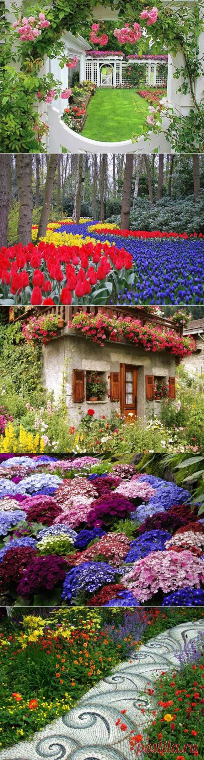 15 цветочных спецэффектов для сада : Хобби : Стиль жизни : Subscribe.Ru