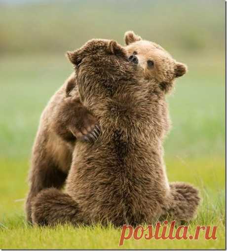 Международный день поцелуев