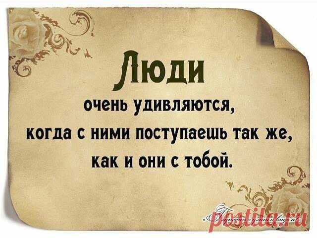 Жми Жми