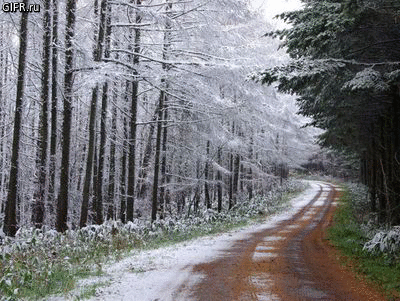 Живые фотографии – Google+