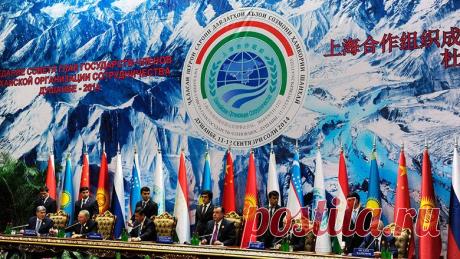 В ШОС объявили о готовности создать условия для решения украинского кризиса | 5 января 2023 - Новости Mail.ru