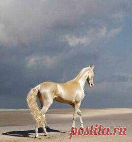 Мой Мир@Mail.Ru