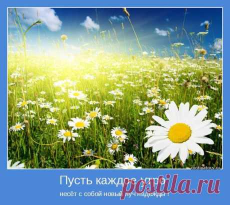 25 солнечный день - Magnitiza