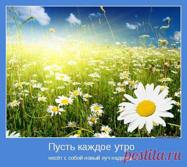 25 солнечный день - Magnitiza