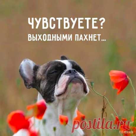 ДА!