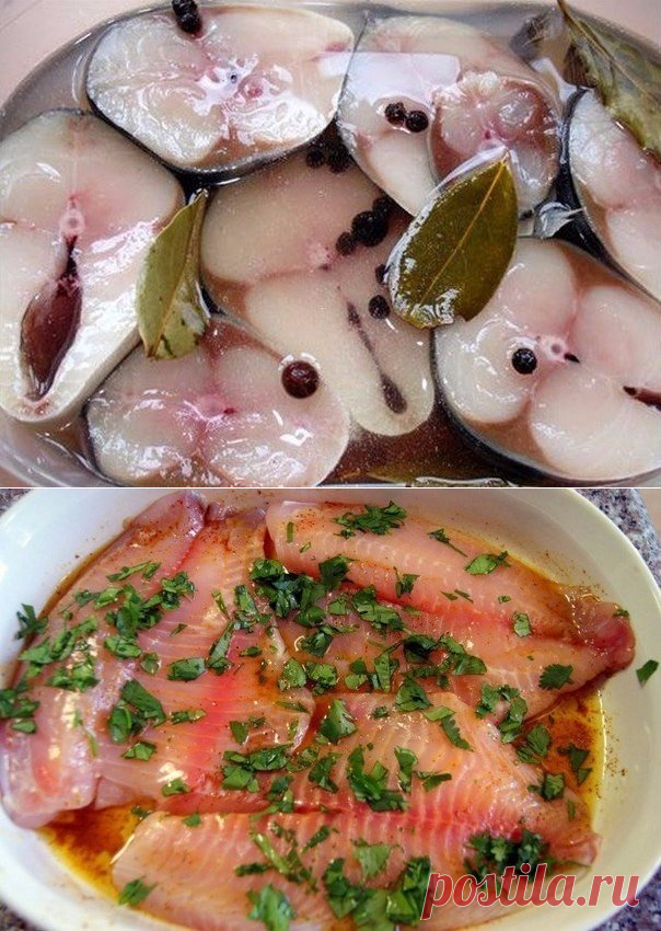 Быстро и просто! 9 маринадов для рыбы — Вкусные рецепты