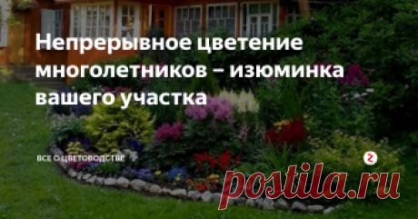 Непрерывное цветение многолетников – изюминка вашего участка Тема у нас сегодня не совсем обычная, ведь поговорим мы не просто о цветах, а о том, как растянуть созерцание прекрасными всевозможными оттенками на долгое время. Думаете, создать цветник непрерывного цветения из многолетников сложно? Ничего подобного, я вам с удовольствием расскажу, как за короткое время украсить участок потрясающей композицией.