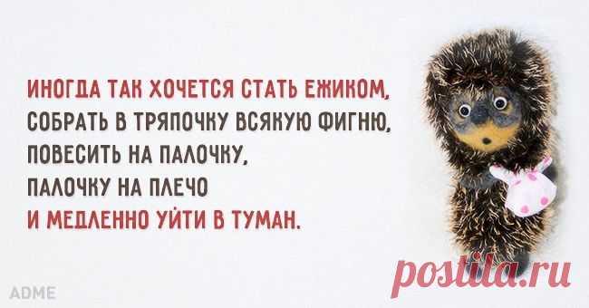 Иногда так хочется стать ежиком