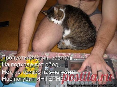 Мы встретимся ( котоматрица ) | Обхохочешься