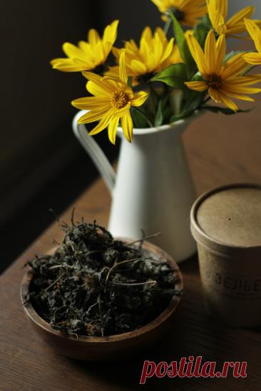 Куда вкуснее и полезнее, чем Иван-чай: неочевидная огородная трава для ферментации и заготовки чая | Живые вещи | Дзен