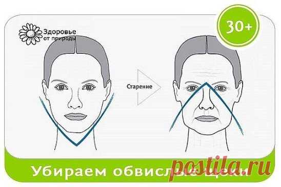 (52) Одноклассники