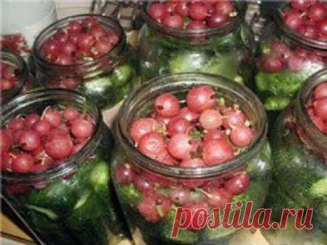 Маринованные огурцы с крыжовником - Харчовка