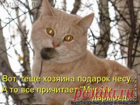 Подарок хозяйской тёще)))
