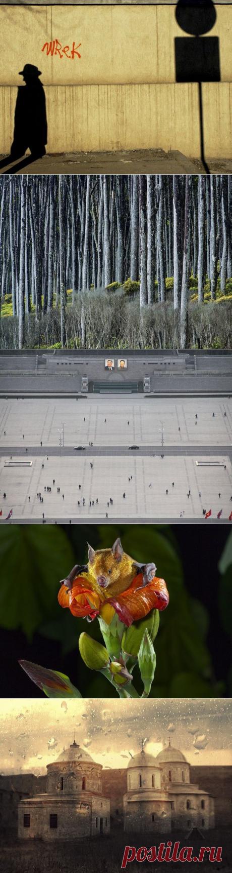 Лучшие фотографии National Geographic за март, 2014