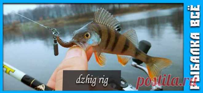 Оснастка джиг-риг 10 способа монтажа - fishing-all.ru