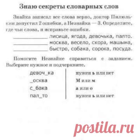 Учитель начальной школы