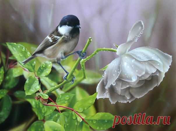 Наталия Ерохина