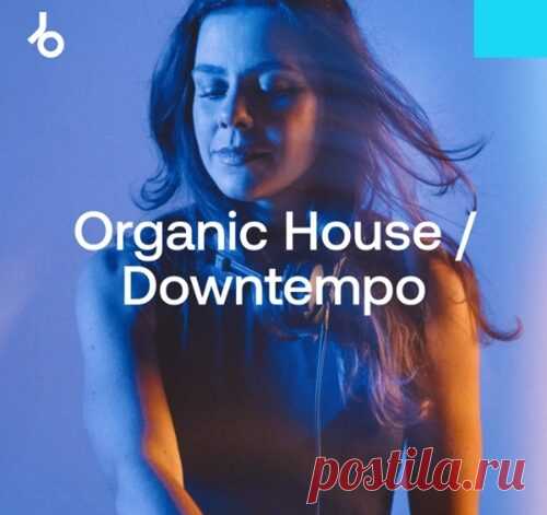 Download Hype Chart Toppers 2024 Organic House Artist: VA Title: Hype Chart Toppers 2024: Organic House Genre: Organic House / Downtempo Quality: 320 kbps