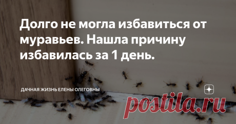 Долго не могла избавиться от муравьев. Нашла причину избавилась за 1 день. Многих дачников мучают эти маленькие и вредные муравьи. Они поселяются на даче и лезут во все уголки дома. Их можно легко найти в своей еде. Если вы хотите немедленно избавиться от них, то вам просто необходимо прочитать данную статью.