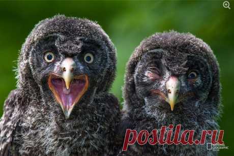 Что? Это она вам сказала, что я подбил ей глаз?