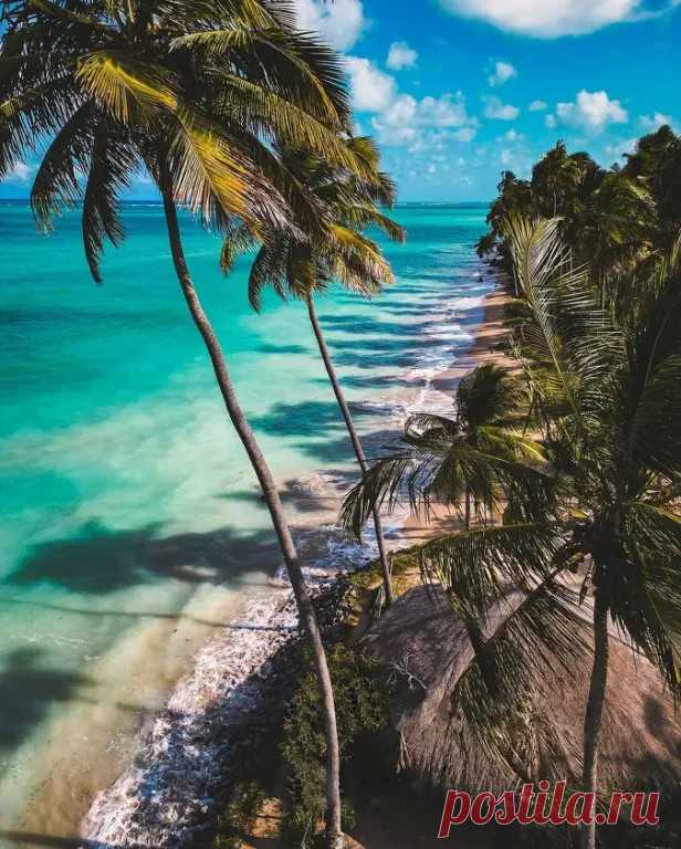 Пляж Praia Da Bruna. Марагожи, Бразилия