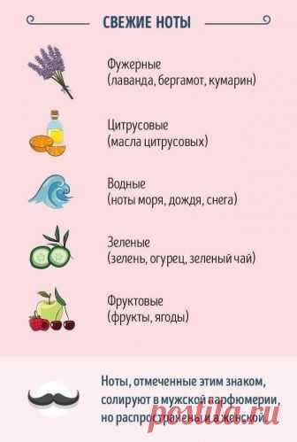Ваш гид по духам и парфюмерии