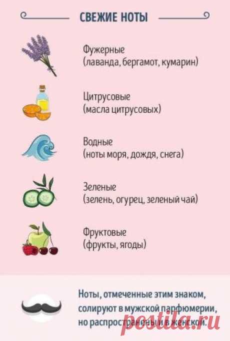 Ваш гид по духам и парфюмерии