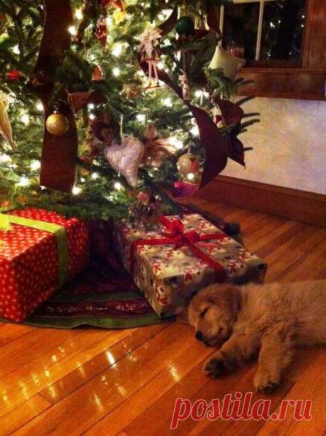 Esperando regalos