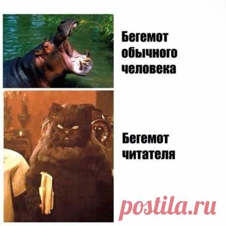 лучшие смешные картинки с подписями...много!))) присоединяйтесь! ПРИКОЛЫ ЮМОР ШУТКИ ツ группа фейсбук