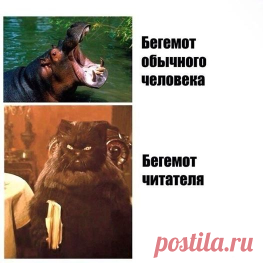 лучшие смешные картинки с подписями...много!))) присоединяйтесь! ПРИКОЛЫ ЮМОР ШУТКИ ツ группа фейсбук