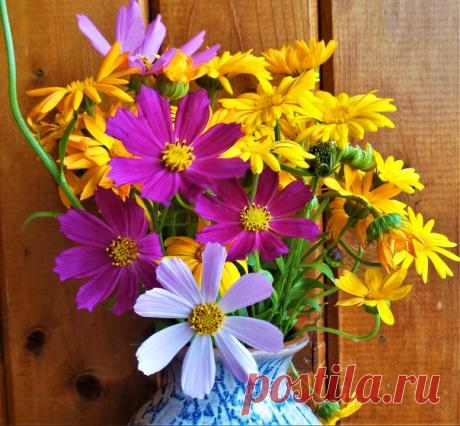 С воскресеньем,радостным днем! Прекрасного выходного дня и замечательного настроения)))😊💐💖