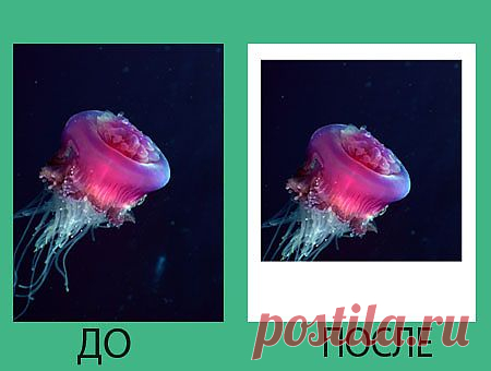 Скачать Экшен - Полароид