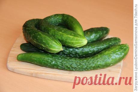 Огурцы по-корейски: и сразу скушать, и на зиму закатать