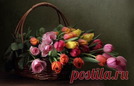 Мой Мир@Mail.Ru