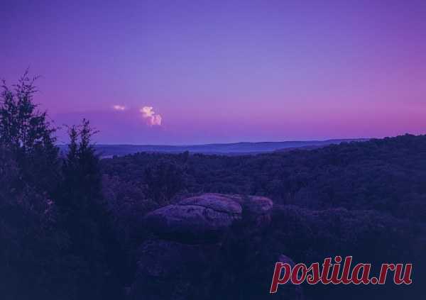 30 снимков фиолетового настроения