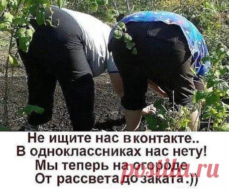 Без комментария