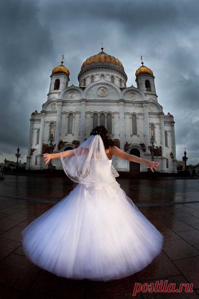 свадьба фотографии молодых - 51 тыс. картинок. Поиск@Mail.Ru