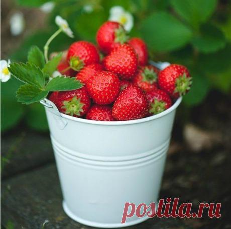 Мой Мир@Mail.Ru