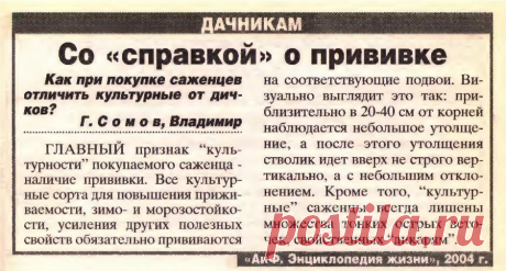 Как отличить культурные саженцы от дичков