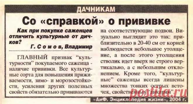 Как отличить культурные саженцы от дичков