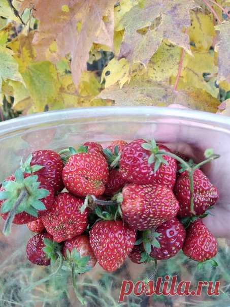 С добрым осенним утром!!!