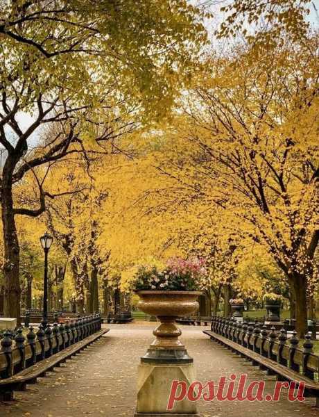 Pinterest