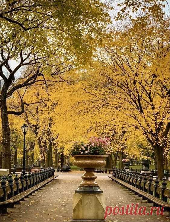 Pinterest