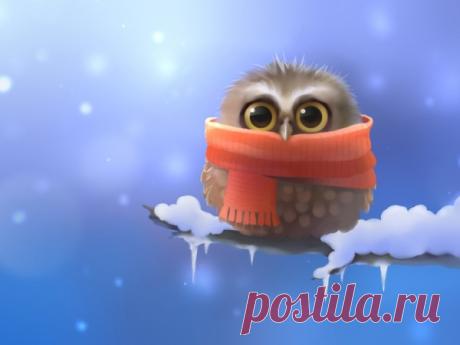 Скоро зима… Добрые картинки | Растимул Мастерская Жизни