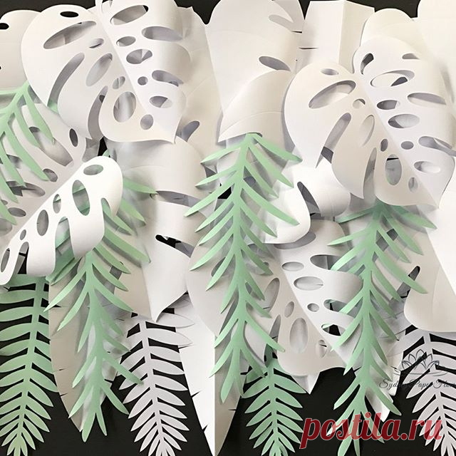Not usual tropical backdrop?
Yes, we have some!
Go creative )