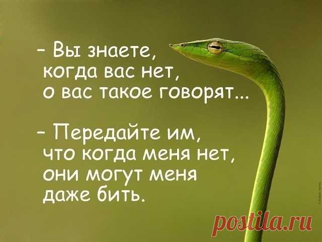 (40) Одноклассники
